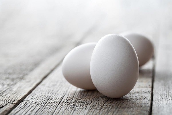 Telur, Nutrisi Kaya Protein Untuk Tubuh Ibu Hamil dan Menyusui
