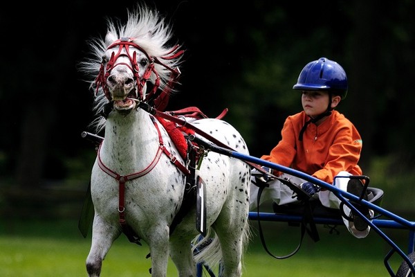 Equestrian atau Berkuda Membantu Meningkatkan Fokus Diri