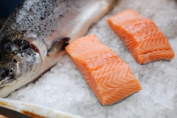Salmon, Jenis Ikan Rendah Lemak yang Kaya Omega 3